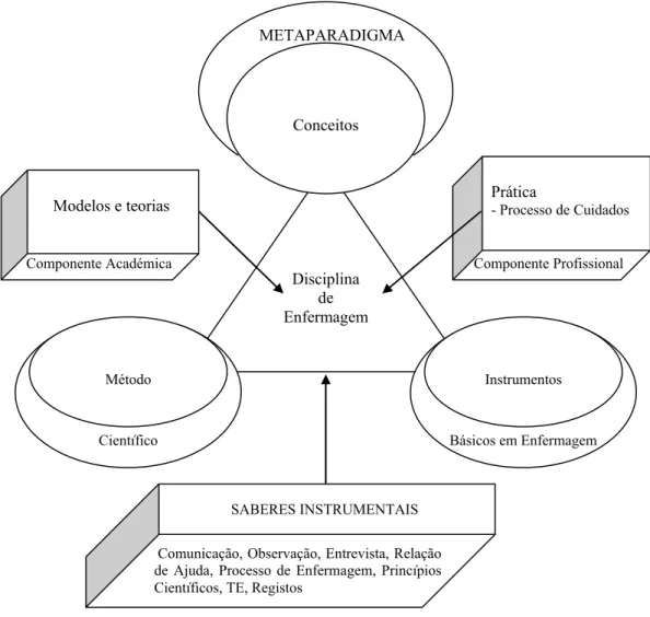 Figura 6 – Uma estrutura possível para a disciplina de enfermagem, a partir do processo  de cuidados 