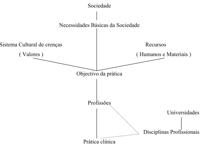 Figura 7 - Evolução da interdependência entre a disciplina e a prática de uma profissão 