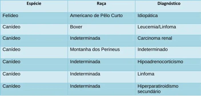 Tabela 4. Casuística de casos observados durante o período de estágio na rotação de Medicina Interna