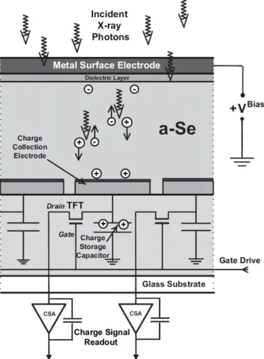 Figura 11 - Esquema de produção e transferência de cargas por um detetor digital direto