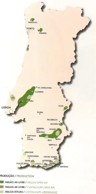 Figura 4 - Distribuição geográfica das principais zonas da produção do melão em Portugal  (Fonte: GPP,  2006) 