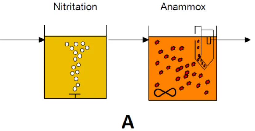 Figure 2. Two-step (A) and Single-step (B) anammox process. 