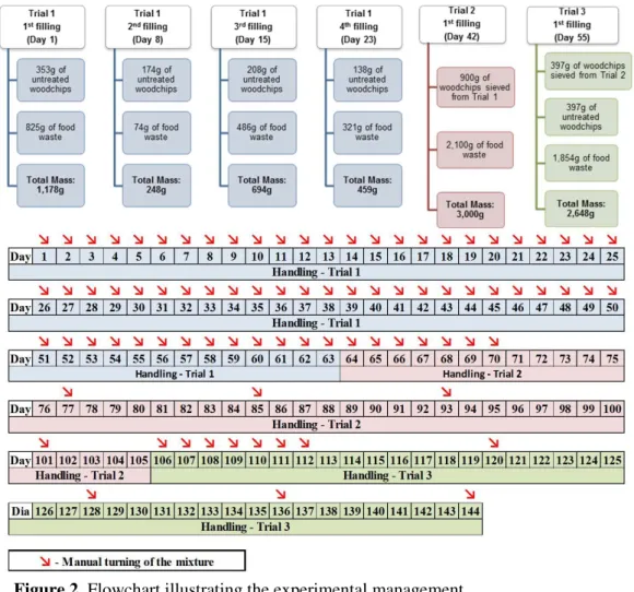 Figure 2. Flowchart illustrating the experimental management. 