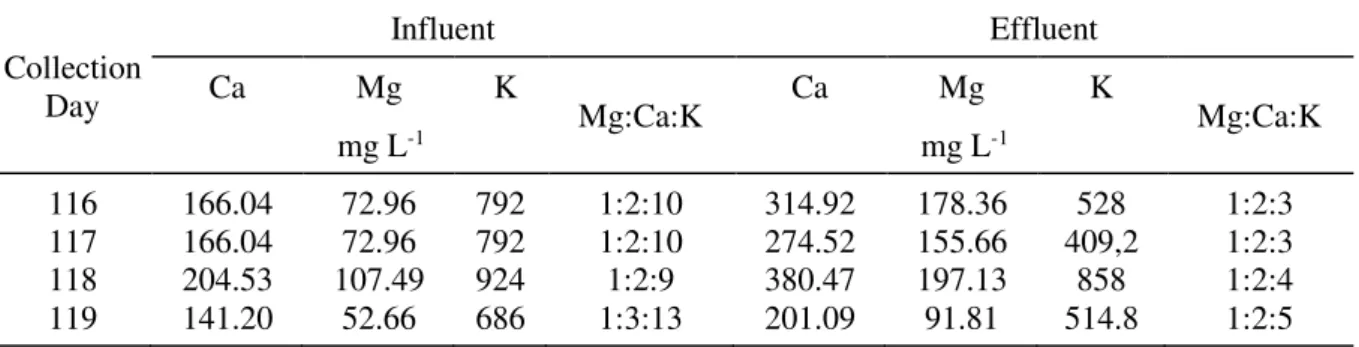 Table 2 displays the values of the analyzed elements of four removed samplings of the last  experimental phase and the relationship between K:Ca:Mg of both influent and effluent