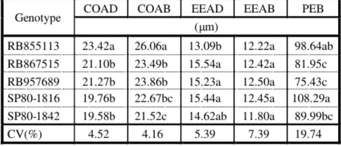 Table 3 - Mean stomatal length value on the adaxial and abaxial surfaces (COAD and COAB), epidermis thickness on the adaxial and abaxial surfaces (EEAD and EEAB) and external paraclinal wall perimeter of the bulliform cells (PEB) in sugar cane genotypes