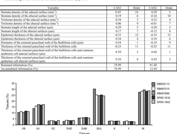 Figure 4  -  Proportion of tissues (%) in relation to total leaf blade area: Vascular bundles (VB); bundle sheath cells (BS);