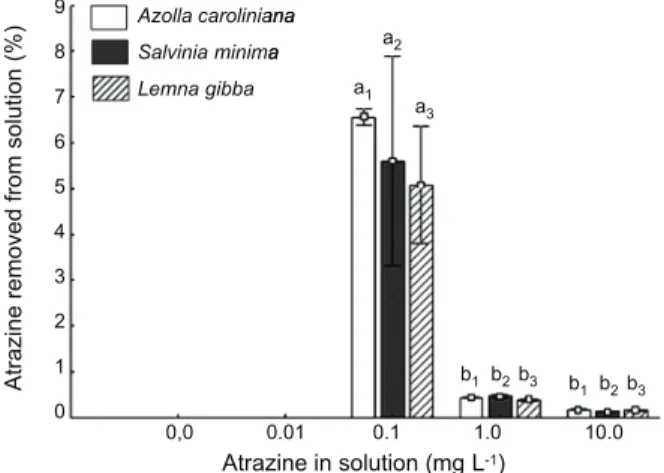 Figure 3 - Atrazine removal efficiency (%) from the solution by the plants under different treatments