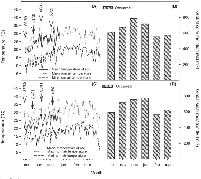 Figure 1 - Mean temperature at 3 cm soil depth, maximum and minimum air temperature (Figure 1A, 2010/11 harvest) and (Figure 1B, 2011/12 harvest) and global solar  radiation occurred in the 2010 / 11 harvest (Figure 1C) and in the 2011/12 harvest (Figure 1