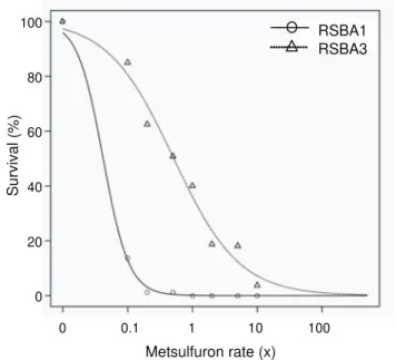 Figure 3 - Response of the susceptible RSBA1 (O) and the resistant RSBA3 ( ∆ ) weedy radish biotypes to the application of metsulfuron, expressed as percent survival.
