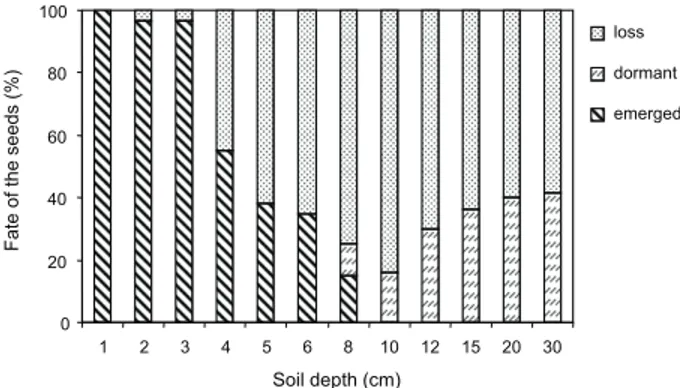 Figure 6 - Fate of oilseed rape seeds at the different soil depths in a pot experiment in Gorgan.