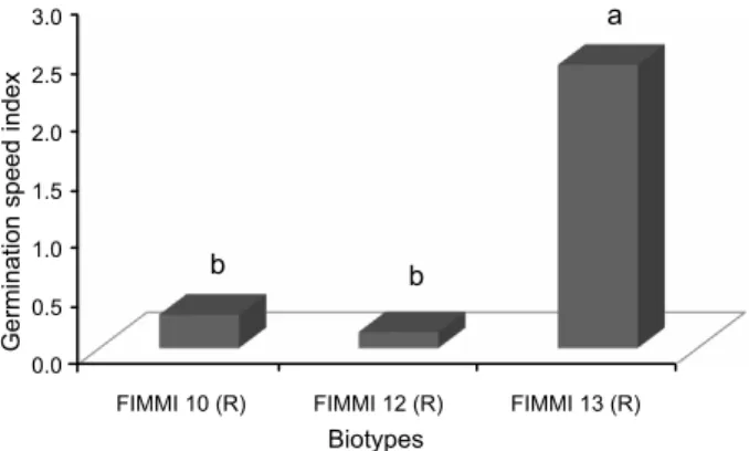 Figure 2 -  G ermination speed index of R and S biotypes of F. miliacea until the fifteenth day after sowing, according to the equation by Maguire (1962).