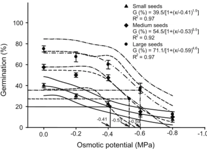 Figure 3 - Effect of seed size and osmotic potential (MPa) on seed germination of C. arvensis