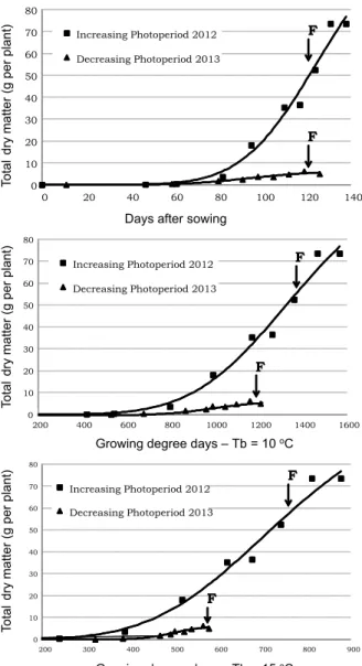 Figure 3 - Total accumulated mass of dry matter per sourgrass (Digitaria insularis) plant under two distinct growth conditions, adjusted to different scales, considering days and accumulated degree-days, calculated with basal temperature of 10 or 15  o C