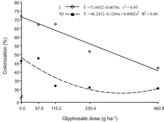 Figure 5 - Phosphorus levels of coffee plants (Catuaí Vermelho IAC 99) inoculated with arbuscular mycorrhizal fungi (Gigaspora margarita and Rhizophagus clarus) (I) and  non-inoculated (NI), in different glyphosate rates.