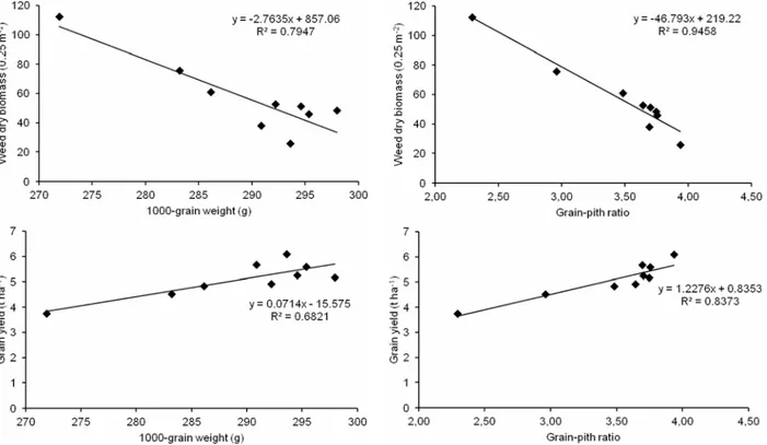 Figure 6 - Calibration of the regression model predicting weed dry biomass and maize grain yield as a function of 1000 grain weight (g) and grain-pith ratio pooled over both years, 2010 and 2011, against weed control treatments.