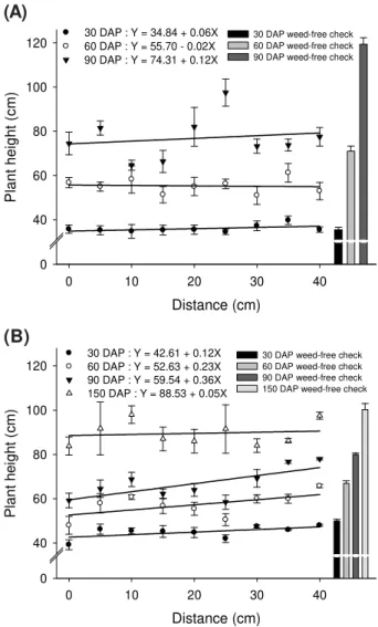 Figure 2 - Plant height of clones of Eucalyptus urograndis C219H (A) and H15 (B), growing in coexistence with Urochloa decumbens (A) and Urochloa ruziziensis (B) and being maintained within different distances from the eucalypt plant