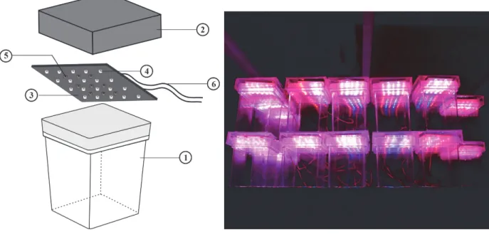 Figure 1 - Diagram of the LP system (left). (1) magenta vessel, (2) the acrylic plastic lid, (3) LED board, (4) blue LED, (5) red LED, (6) direct current input; the operation of the LP systems (right).