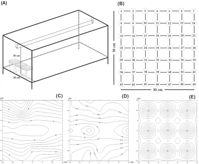 Figure 4  - The PPFD distribution (µmol m -2  s -1 ) of different lighting systems. (A) general layout of the culture vessel; (B) the measured point of the PPFD on the shelf; (C) fluorescent lamp; (D) LED tube with 30% blue plus 70% red LED; (E) the LP and