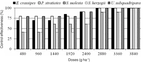 Figure 2 - Control effectiveness of herbicide glyphosate with the addition of 0.5% of surfactant Aterbane ®  BR at 45 days after the application.