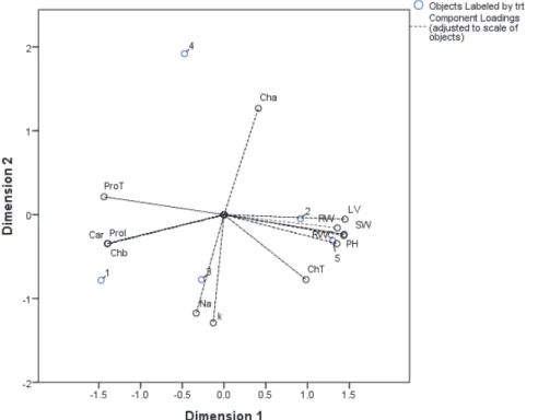 Figure 1 - Biplot analysis for both treatment levels and traits measured under drought stress.