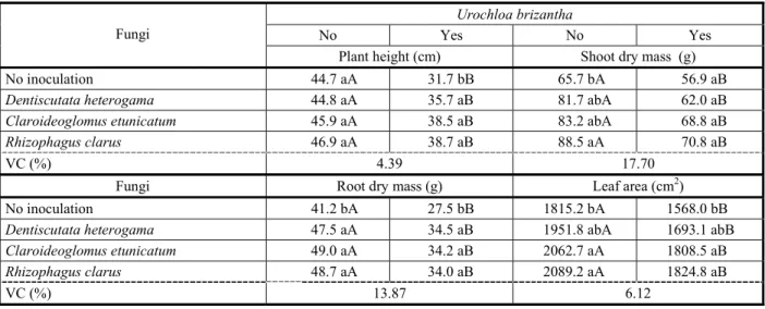 Table 4  - Dry mass (g) of two Urochloa brizantha cv. Marandu plants after coexisting for 90 days on a soil containing one coffee seedlings (Catuaí Vermelho IAC 99) inoculated with mycorrhizas