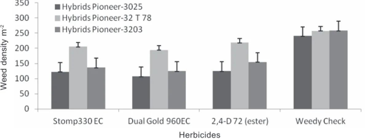 Figure 2 - Interaction of maize hybrids and herbicides on fresh weed biomass (g m -2 ).