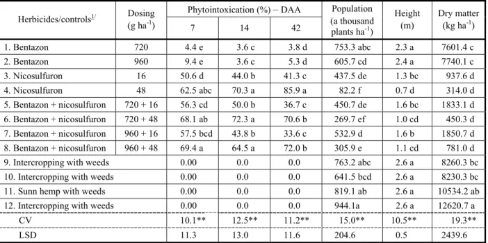 Table 4 - Phytointoxication notes obtained at 7, 14 and 42 days after application (DAA) of the herbicides in Crotalaria juncea, as well as the population of plants, height and dry matter of the shoots at 94 DAA, when intercropped with the maize crop, besid