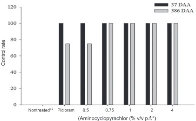 Figure 1  - Control rate (% of regrowth inhibition) of yellow trumpet-flower plants 37 and 386 days after application of different doses of aminocyclopyrachlor herbicides to the plant cut stump and the recommended dose of picloram.