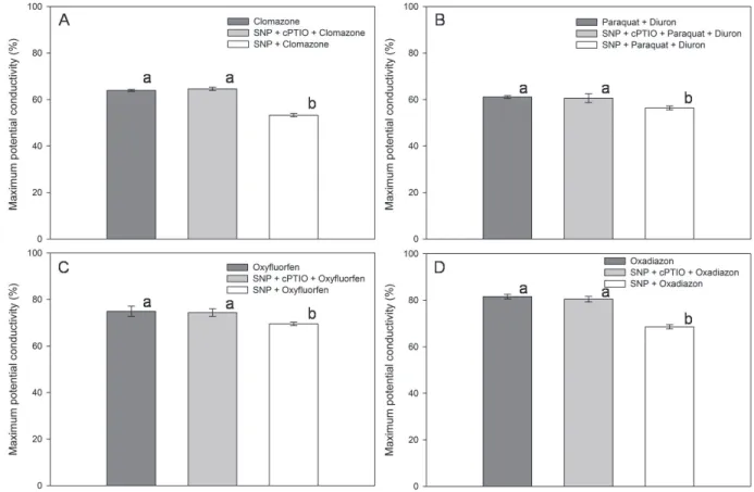 Figure 3 - Maximum potential conductivity (%) of the leaf segments of the Puitá INTA CL flooded rice cultivar exposed to pre- pre-treatment with distilled water, sodium nitroprusside and/or cPTIO and incubated for 48 hours with 1,835.9; 820.0+410.2; 546.8;
