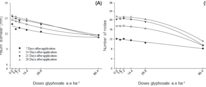 Figure 2 - Haulm diameter (A) and number of nodes (B) of sunflower plants exposed to increasing doses of glyphosate and evaluated at 7, 14, 21 and 28 days after application DAA.