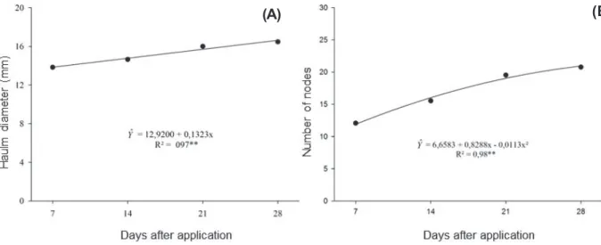 Figure 4 - Diameter of the haulm (A) and the number of nodes (B) of sunflower plants evaluated at 7, 14, 21 and 28 days after application DAA of trinexapac-ethyl.