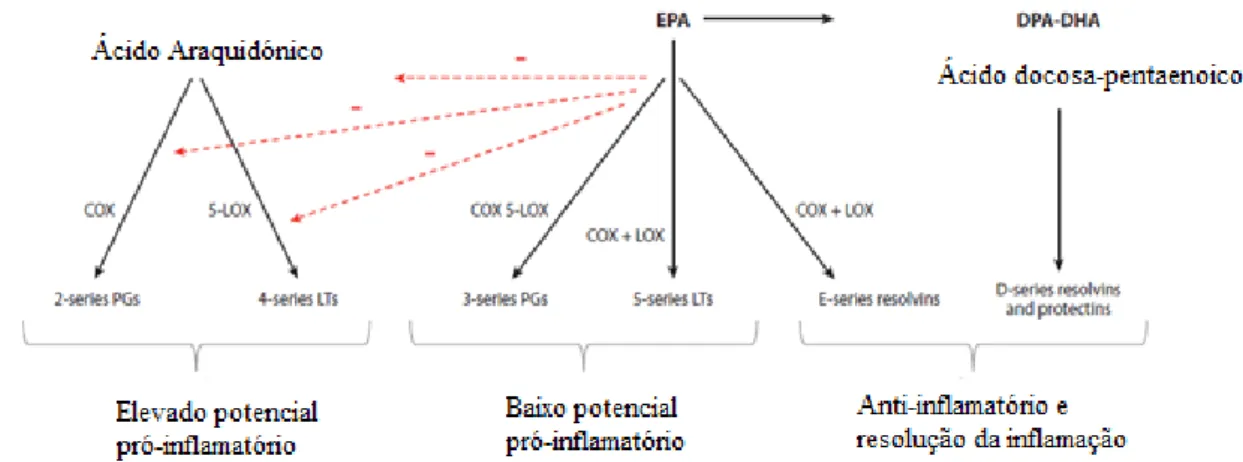 Figura 5 - Metabolitos pró-inflamatórios e anti-inflamatórios derivados dos PUFAs ω-6 e ω-3