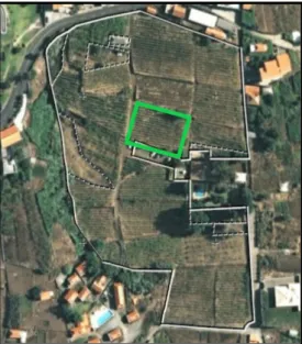 Figura n.º 1 - Ortofotomapa do Campo Experimental do Estreito da Calheta, com a delimitação a verde da  localização do ensaio