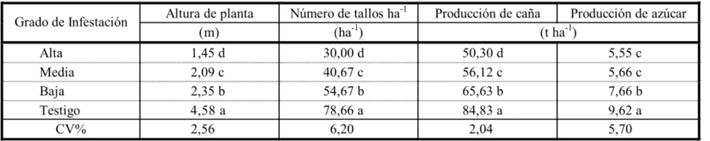 Tabla 1 - Efectos de la competencia específica de S. polyacanthus sobre altura de plantas, número de tallos y producción de  caña y azúcar en función de los diferentes grados de infestación