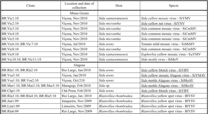 Table 2 - Taxonomic classification of begomovirus isolates obtained from weed samples collected in Minas Gerais and Alagoas states, Brazil, in 2009 and 2010