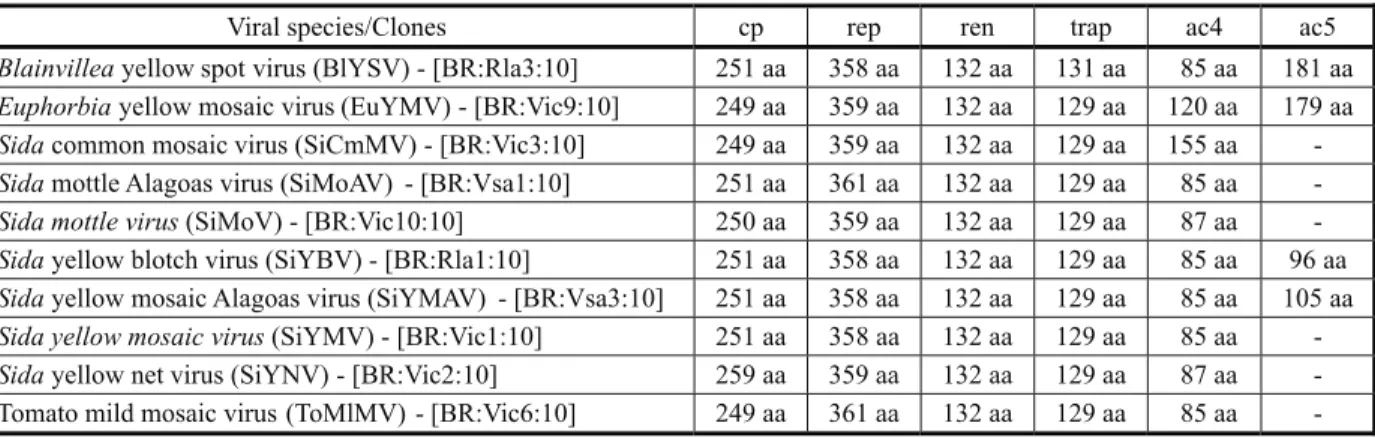 Table 3 - Open reading frames, with their respective amino acid (aa) length, detected in the DNA-A of the begomovirus species described in this work