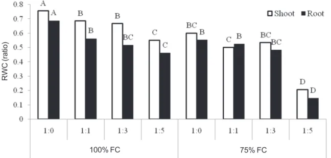 Figure 1 - Relative water content   of leaf and root of caper in drought and different ratios of calcium and sodium chloride.