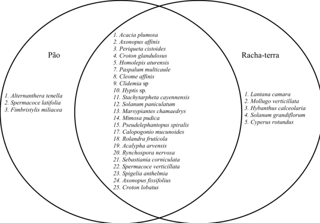 Figure 2 - Venn diagram of weed species that are unique and shared in the cultivation of Pão and Racha-terra cassava in two experiments in growing seasons 2012/2013 and 2013/2014