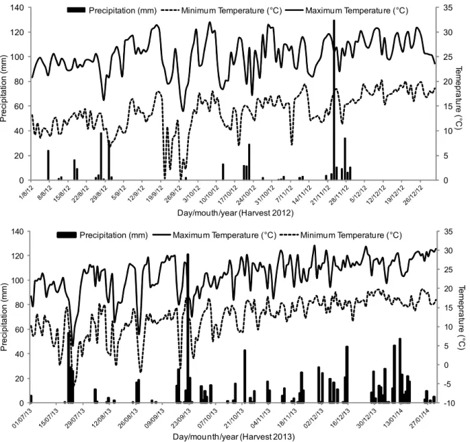 Figure 1 - Precipitation (mm) and maximum and minimum temperatures ( o C) during the development of onion crop transplanted in the 2012 and 2013 harvests