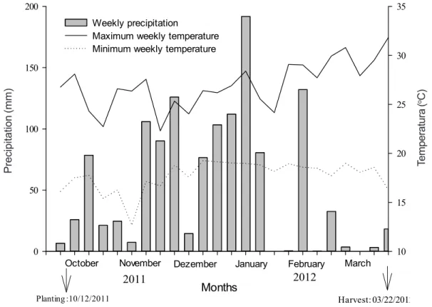 Figure 1 - Rainfall and average weekly temperatures during the period when the experiment was carried out.