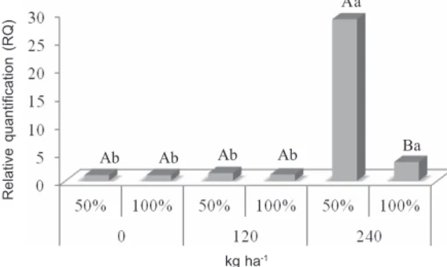 Figure 4 - Relative quantification of OsAPX2 gene expression in red rice competing with rice in different ratios and nitrogen