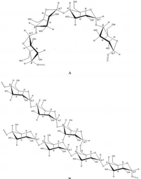 FIG. 10 A) Estrutura da amilose, B) Estrutura da amilopectina. Adaptado [100]. 