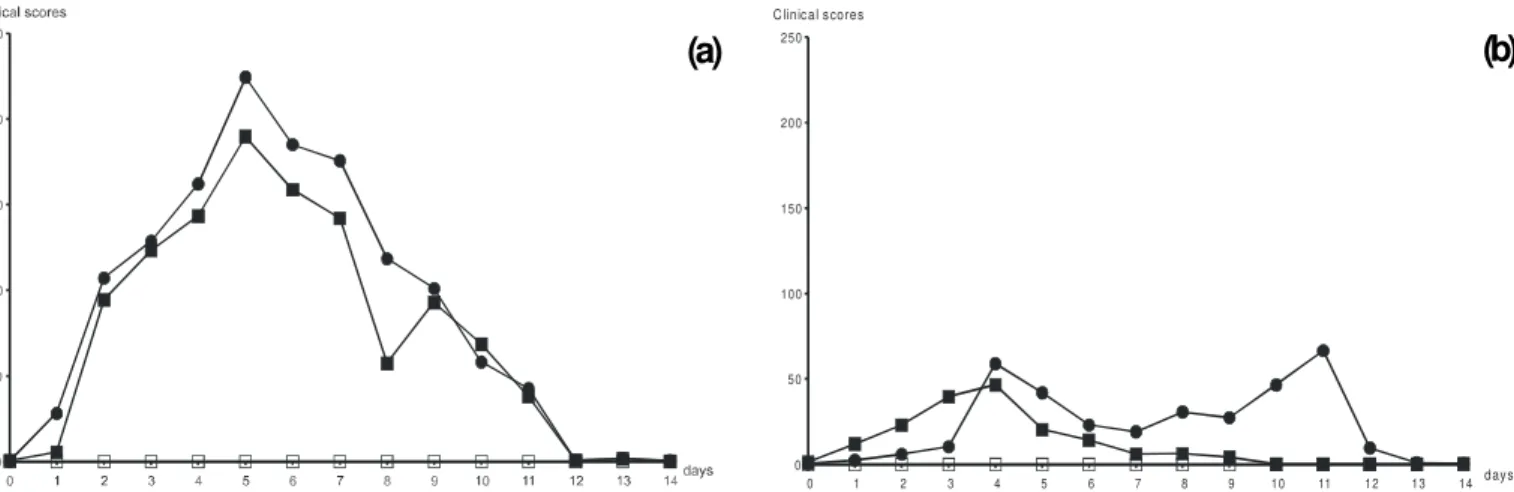 Fig. 1. Mean clinical scores attributed to calves after inoculation: (a) clinical scores at primary infection; (b) at reactivat ion