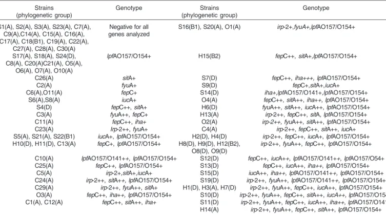 Table 3. Occurrence of different genotypes among avian Escherichia coli strains a