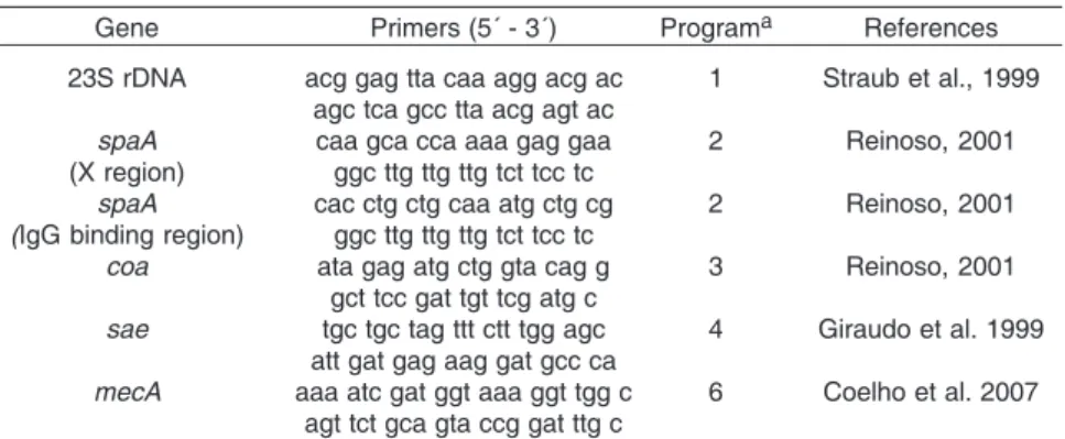 Table 1. Sequences of oligonucleotides primers with corresponding programs
