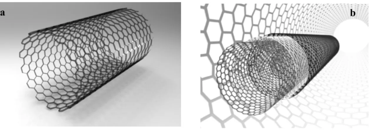 Figura 1.2 Nanotubos de carbono de parede simples (a) e parede múltipla (b) 