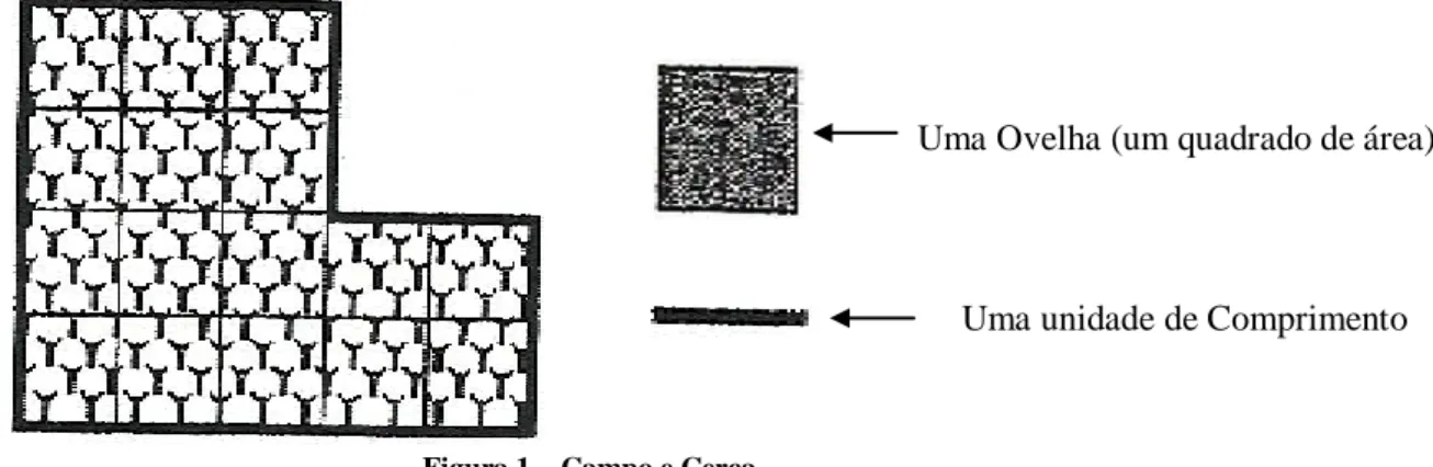 Figura 1 – Campo e Cerca