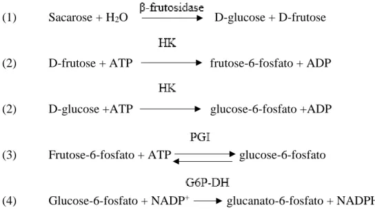 Figura 16- Reações enzimáticas nas quais se baseia a determinação da sacarose, D-glucose  e D-frutose através de métodos enzimáticos