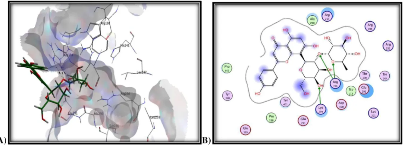 Figure  5.  Molecular  Docking  model  of  interactions  between  the  Bovine  Serum  Albumin (BSA) and vetexine-2-O-rhamnoside, (A) and classical interaction types  (B) with different colors as generated by using Molecular Operating Environment  (MOE) 201