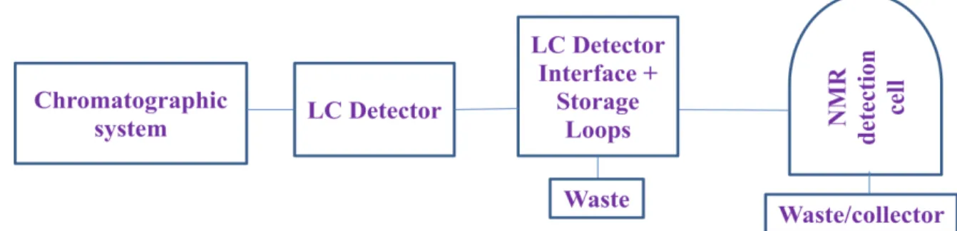 Figure  8. The Loop-storage/Loop-transfer NMR system is shown; the figure was  reproduced from (ALBERT K., 2002)